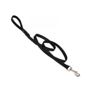 Basic Solids Padded Handle Dog Leash 4ft - 1" wide, Black