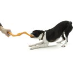 Westpaw Design Būmi Tug Toy - Image 2