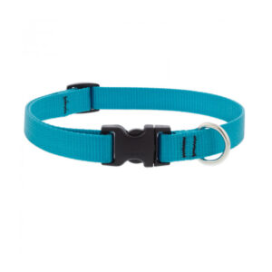 Basics Adjustable Collar 3/4 FOR MEDIUM DOGS - 9-14 - M, AQUA 3/4