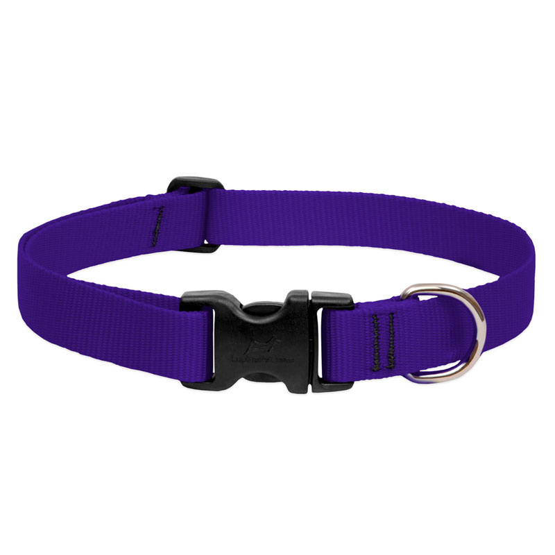 3 Basics Adjustable Collar 3/4 FOR MEDIUM DOGS - 15-25 - M, PURPLE 3/4 - Image 1