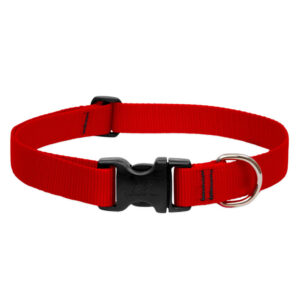 BASICS Adjustable Collar 1 FOR LARGE DOGS - 12"-20", Red
