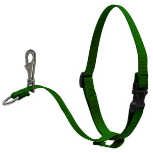 Dog Basic Solids No Pull Harness - 1" width - 26" -38", Green