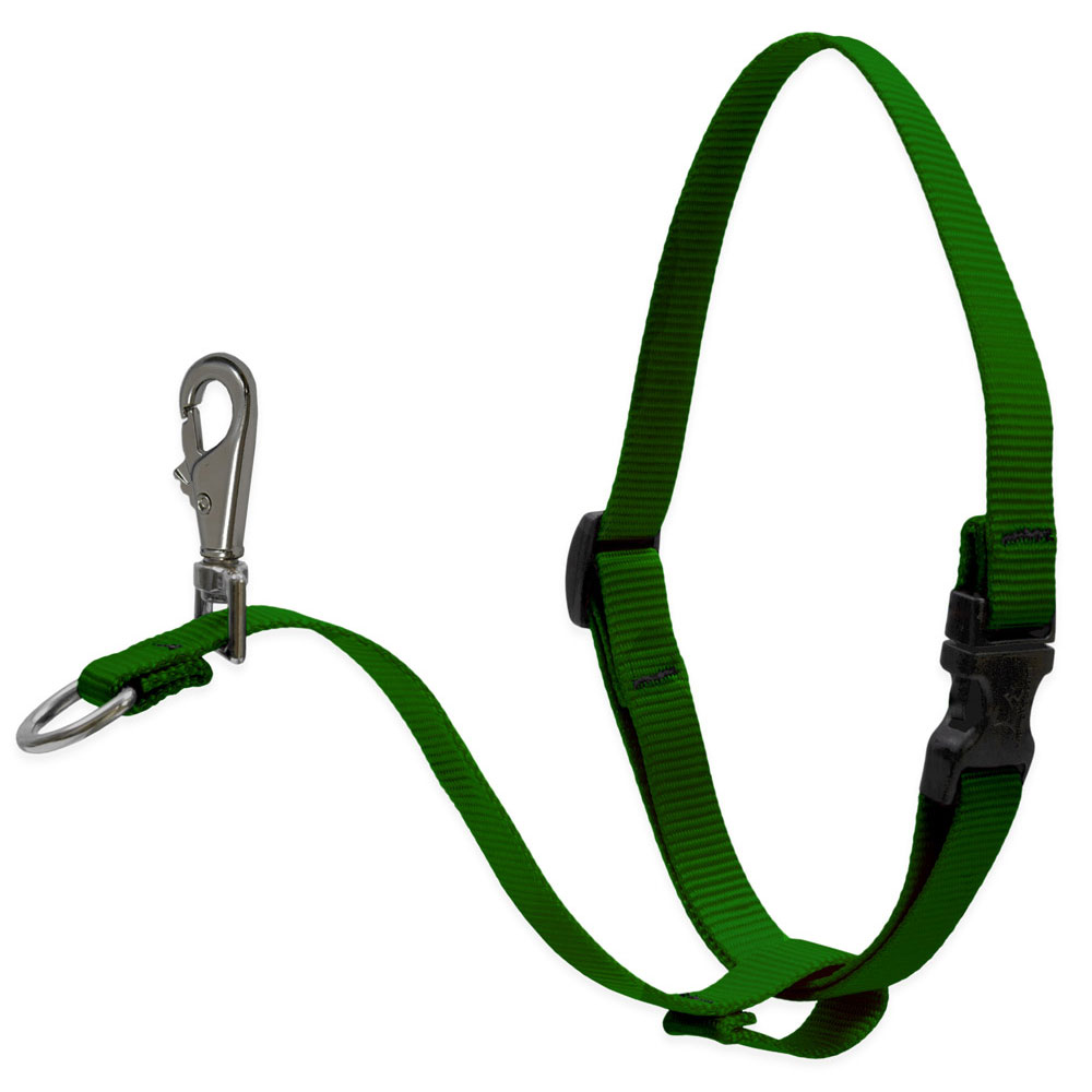 3 Dog Basic Solids No Pull Harness - 1" width - 26" -38", Green - Image 1
