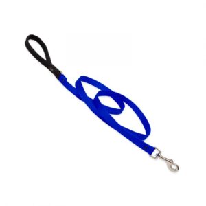 Basic Solids Padded Handle Dog Leash 4ft - 1" wide, Blue