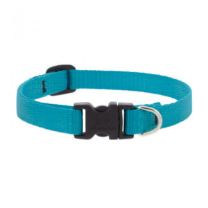 BASICS Adjustable Collar 1/2 FOR SMALL DOGS - 10"-16, AQUA