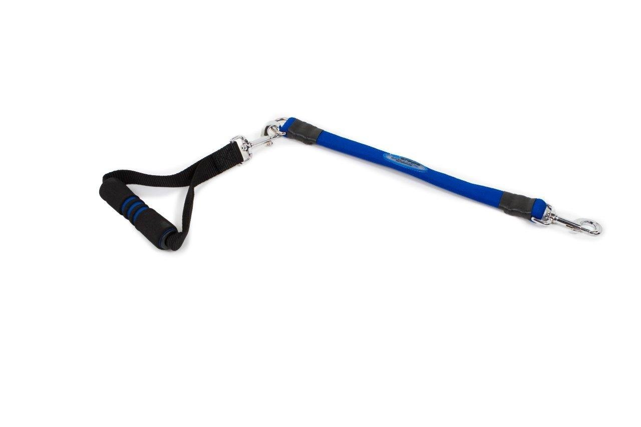 3 Ez Step Stretch Leash Large - Large / Blue - Image 1
