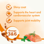 Bioline Norwegian Salmon Oil 250ml - Image 4