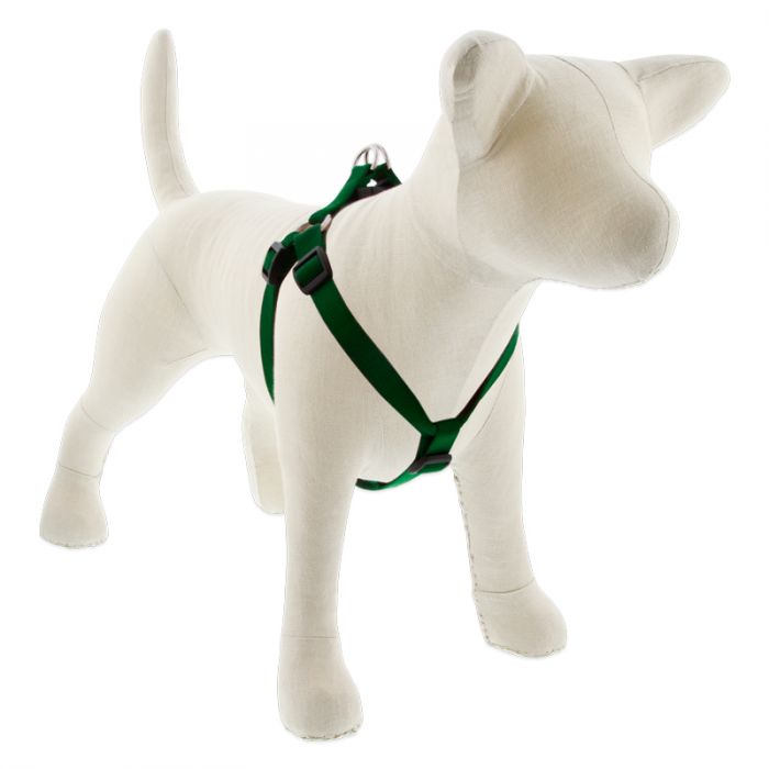 4 Medium Dog Basics Step In Harness 3/4 - 15"-21", Green - Image 1