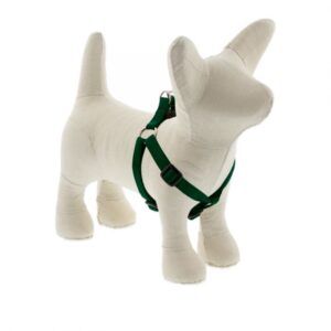 Small Dog Basics Step In Harness 1/2 - 12" -18", Green