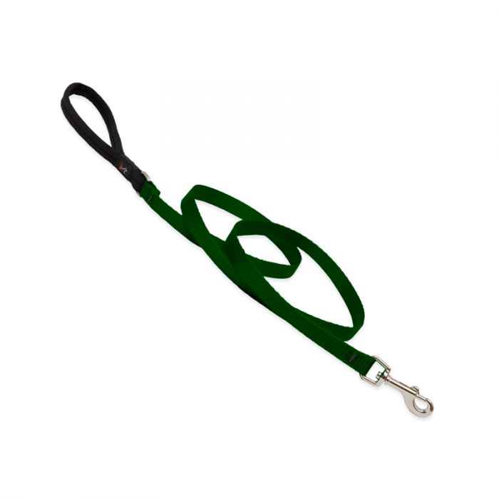 4 Basic Solids Padded Handle Dog Leash 4ft - 1" wide, Green - Image 1