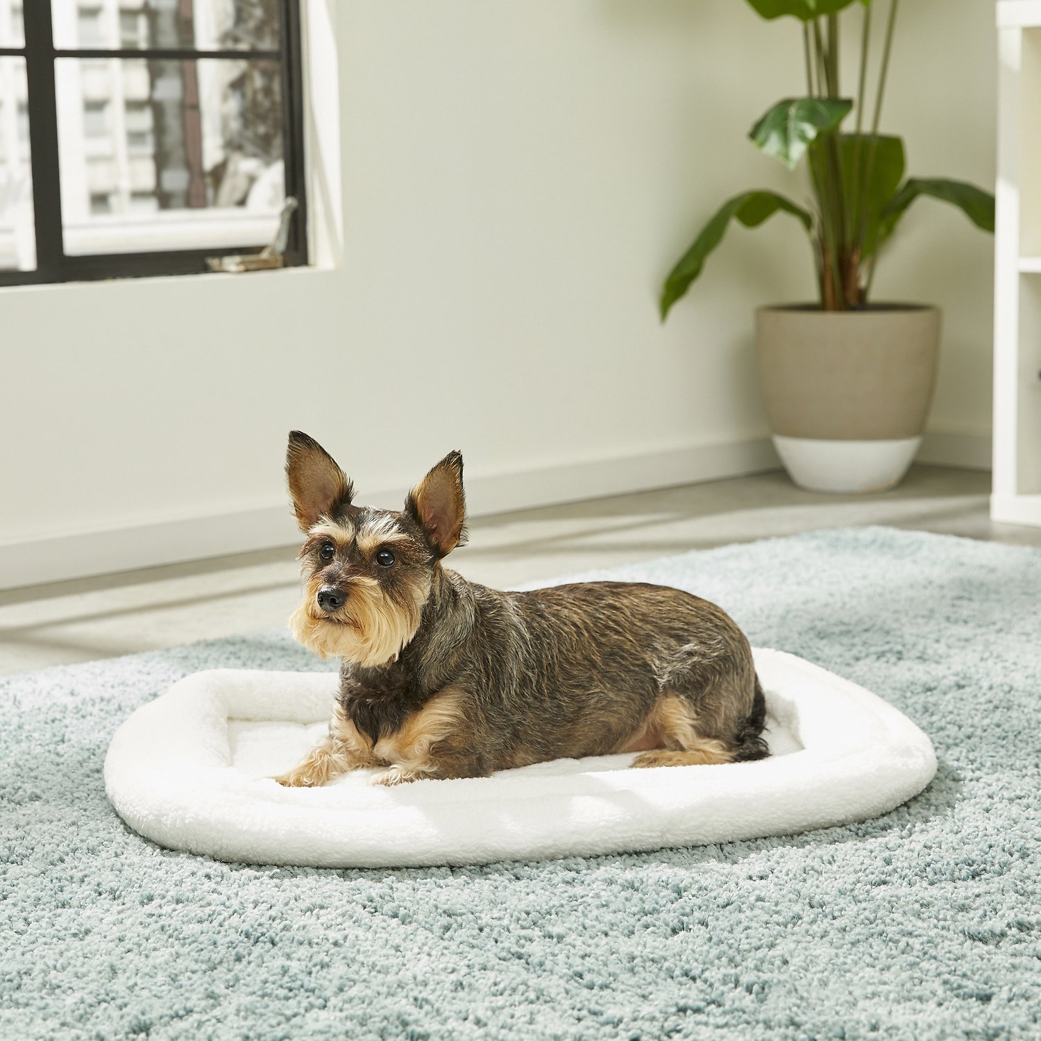 4 Quiet Time Deluxe Fleece Double Bolster Bed White - 24 inch - Image 1