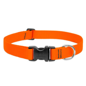 Basics Adjustable Collar 3/4 FOR MEDIUM DOGS - 15-25 - M, ORANGE 3/4