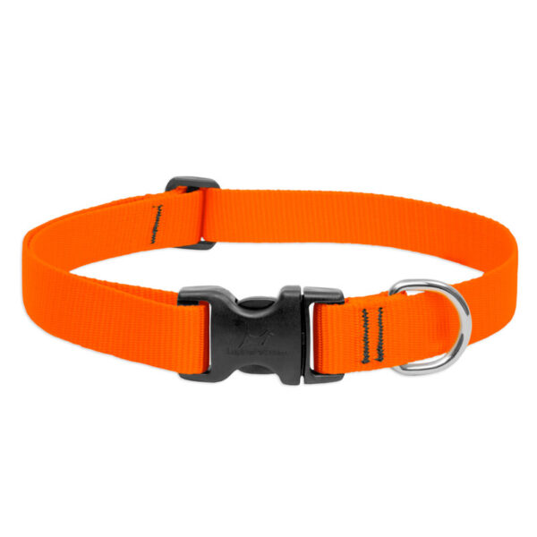 4 Basics Adjustable Collar 3/4 FOR MEDIUM DOGS - 15-25 - M, ORANGE 3/4 - Image 1