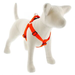 Large Dog Basics Step In Harness 1 - 24" -38", Orange