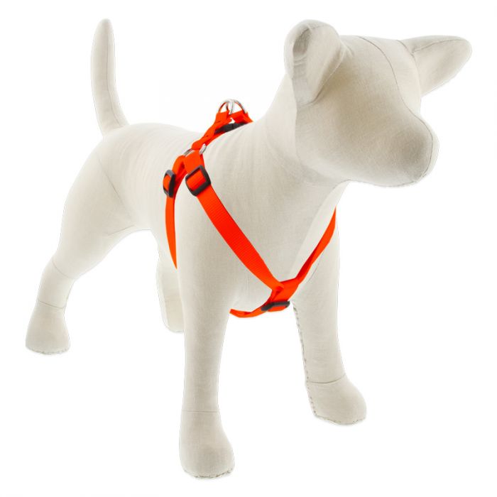 5 Medium Dog Basics Step In Harness 3/4 - 15"-21", Orange - Image 1