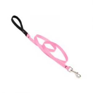 Basic Solids Padded Handle Dog Leash 4ft - 1" wide, Pink