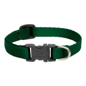 BASICS Adjustable Collar 1/2 FOR SMALL DOGS - 6"-9", Green