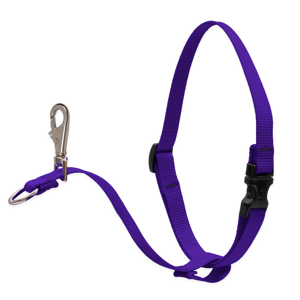 6 Dog Basic Solids No Pull Harness - 1" width - 26" -38", Purple - Image 1
