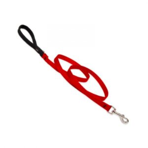 Basic Solids Padded Handle Dog Leash 4ft - 3/4" wide, Red
