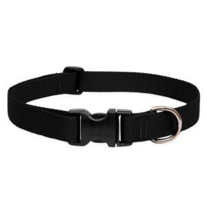 BASICS Adjustable Collar 1 FOR LARGE DOGS - 12"-20", Black