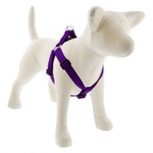 Large Dog Basics Step In Harness 1 - 24" -38", Purple