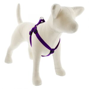 Medium Dog Basics Step In Harness 3/4 - 15"-21", Purple