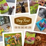 Dog Fest Meaty Coins - Image 6