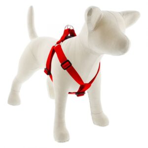 Large Dog Basics Step In Harness 1 - 24" -38", Red