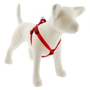 Medium Dog Basics Step In Harness 3/4 - 15"-21", Red