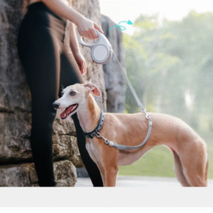 Dogness Retractable Leash