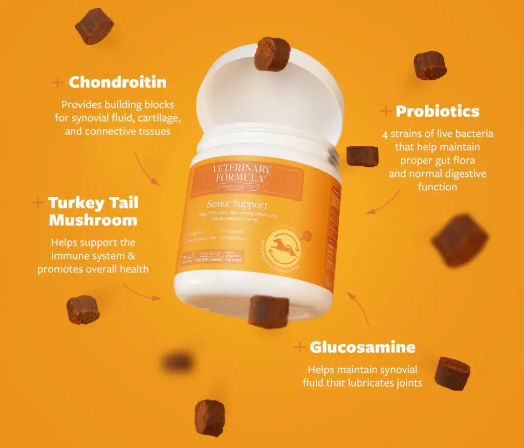 FG101895 Synergy Labs Veterinary Formula Clinical Care Senior Support Supplement 30 Count(90G) - Image 1