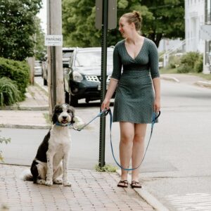 Fida Heavy Duty Dog Leash