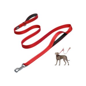 Fida Heavy Duty Dog Leash - 6ft, Red