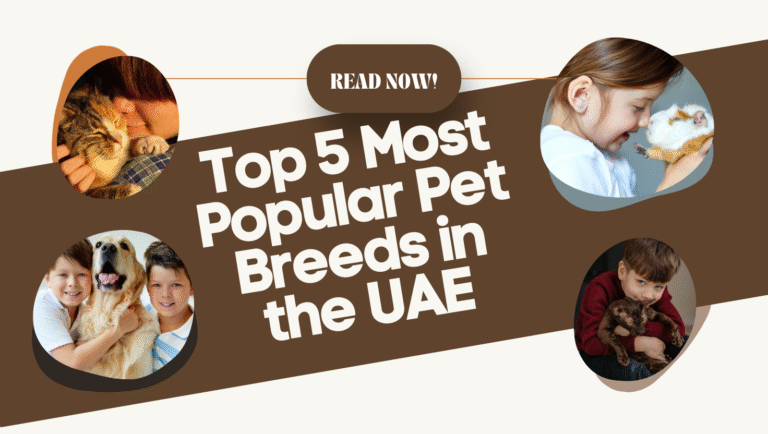 Most Popular Pet Breeds in the UAE