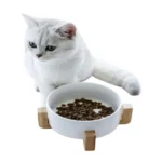 PETBROO WHITE CERAMIC BOWL - Image 2