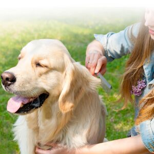 Regular Comb for Dogs and Cats