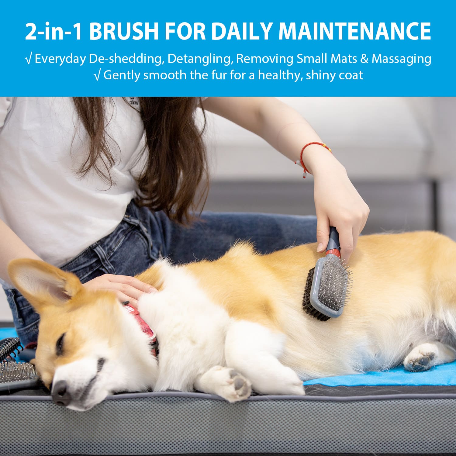 1 Double-Sided Brush Nylon Bristles & Pins for Dogs and Cats - Image 1