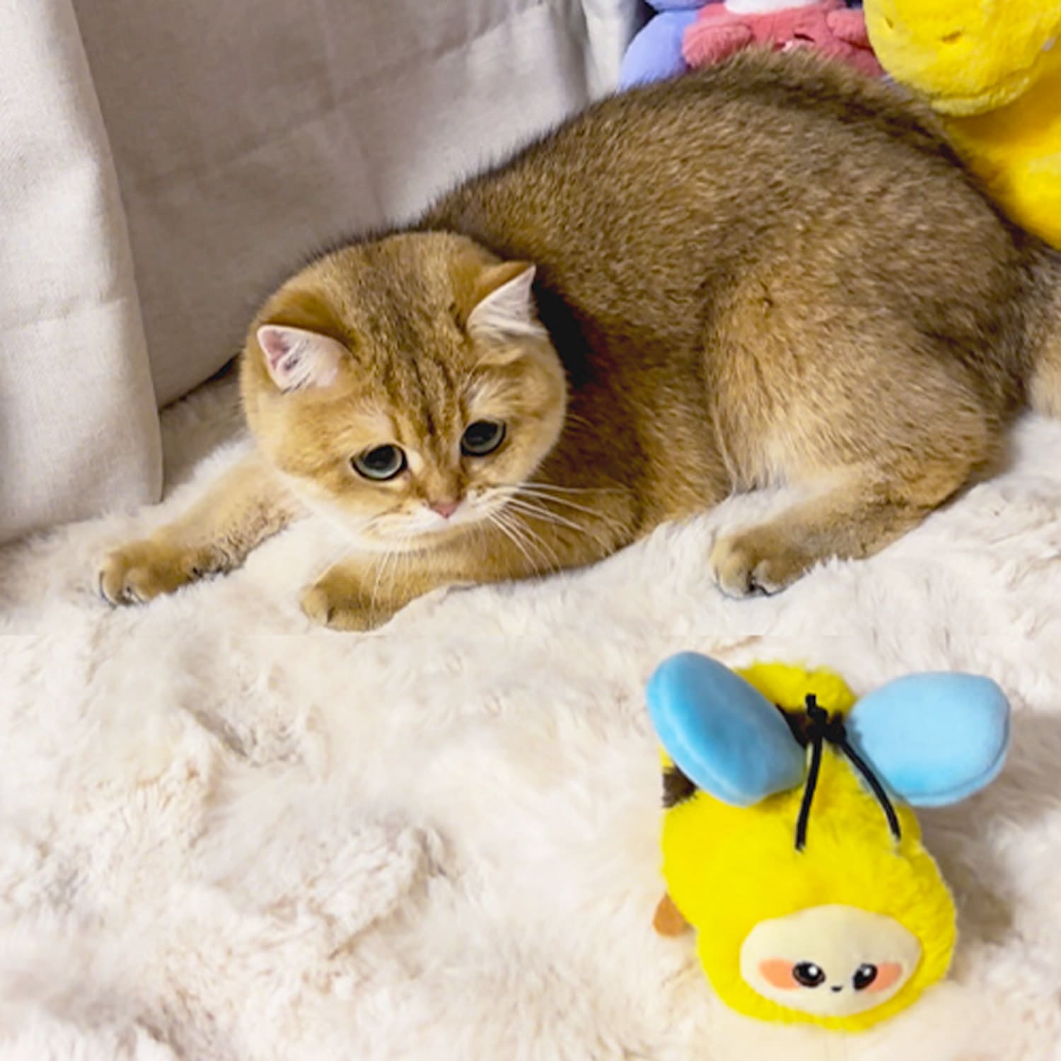 1 Dance & Chirp Flapping Bee - Image 1