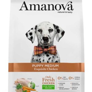 Amanova Puppy