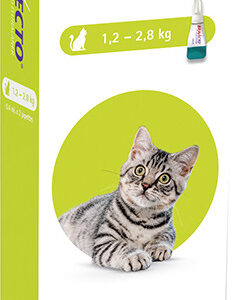 Bravecto for Cats 1.2 - 2.8 kg Spot-On 0.4ml