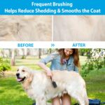 Double-Sided Brush Nylon Bristles & Pins for Dogs and Cats - Image 2