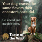 Pacific Stream Canine Recipe - Image 2