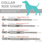 Fida Heavy Duty Dog Collar - Image 5