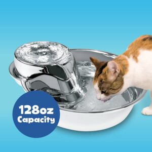 Big Max Pet Drinking Fountain 128oz – Stainless Steel
