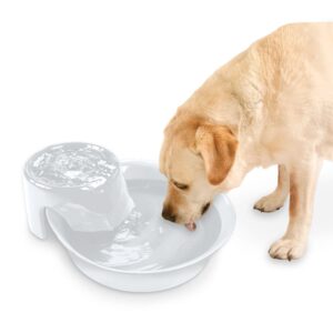 Big Max Ceramic Pet Drinking Fountain