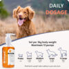Brilliant Salmon Oil for Dogs and Cats - Image 2