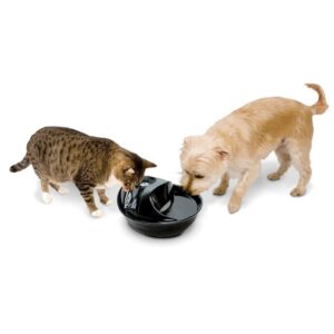 Raindrop Durable Ceramic Pet Fountain 60 oz