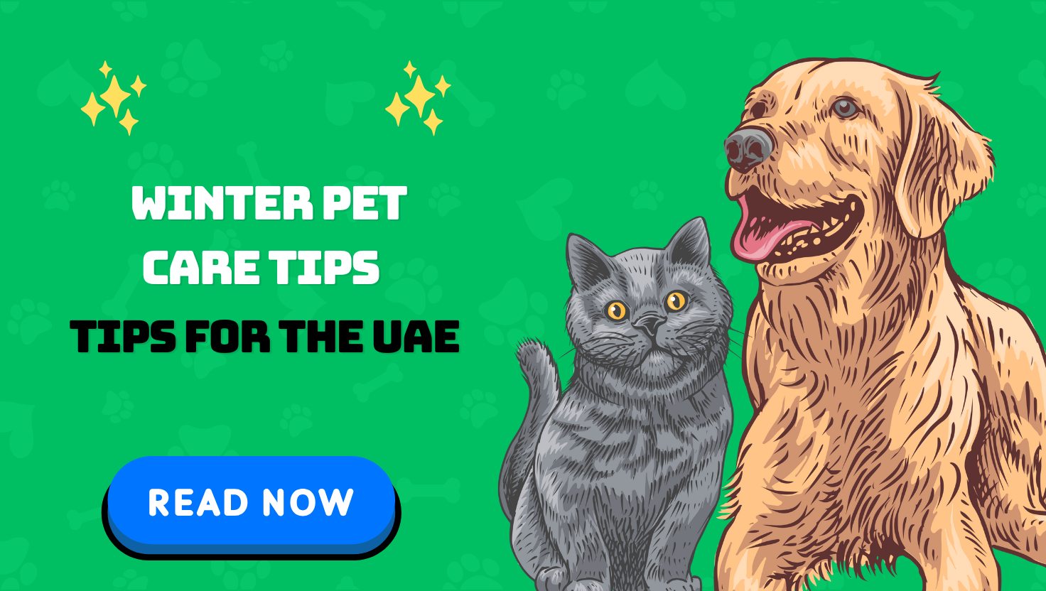 Top 5 Most Popular Pet Breeds in the UAE