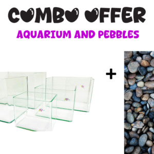Aqua Viu Curved Glass Tanks - Set of 5 + Pebble (MIXED COLOR) 10 KG