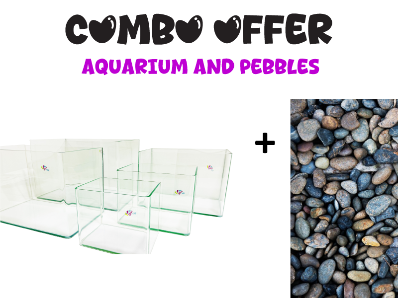 aq-pebles.png Aqua Viu Curved Glass Tanks - Set of 5 + Pebble (MIXED COLOR) 10 KG - Image 1